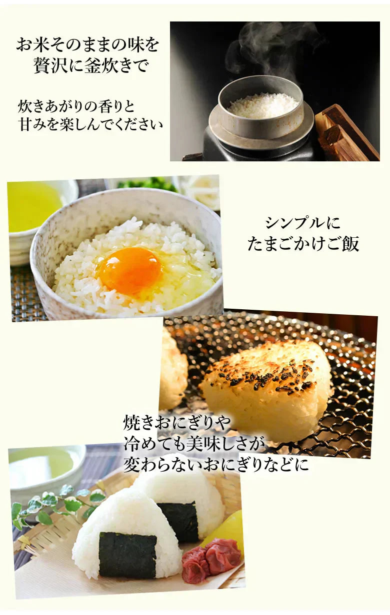 くまさんの輝き 無洗米 送料無料 計900g（300g×3袋） お試し 令和6年産 熊本県産 お米 白米 玄米 コシヒカリ ヒノヒカリ 森のくまさん