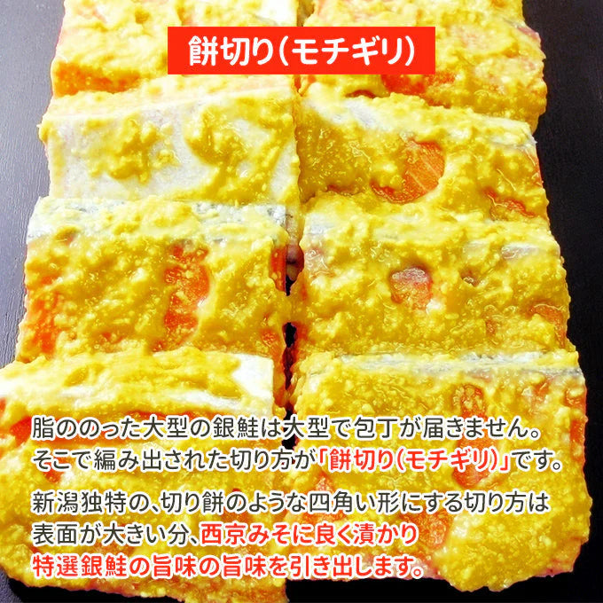 銀鮭西京みそ漬け 10切 送料無料