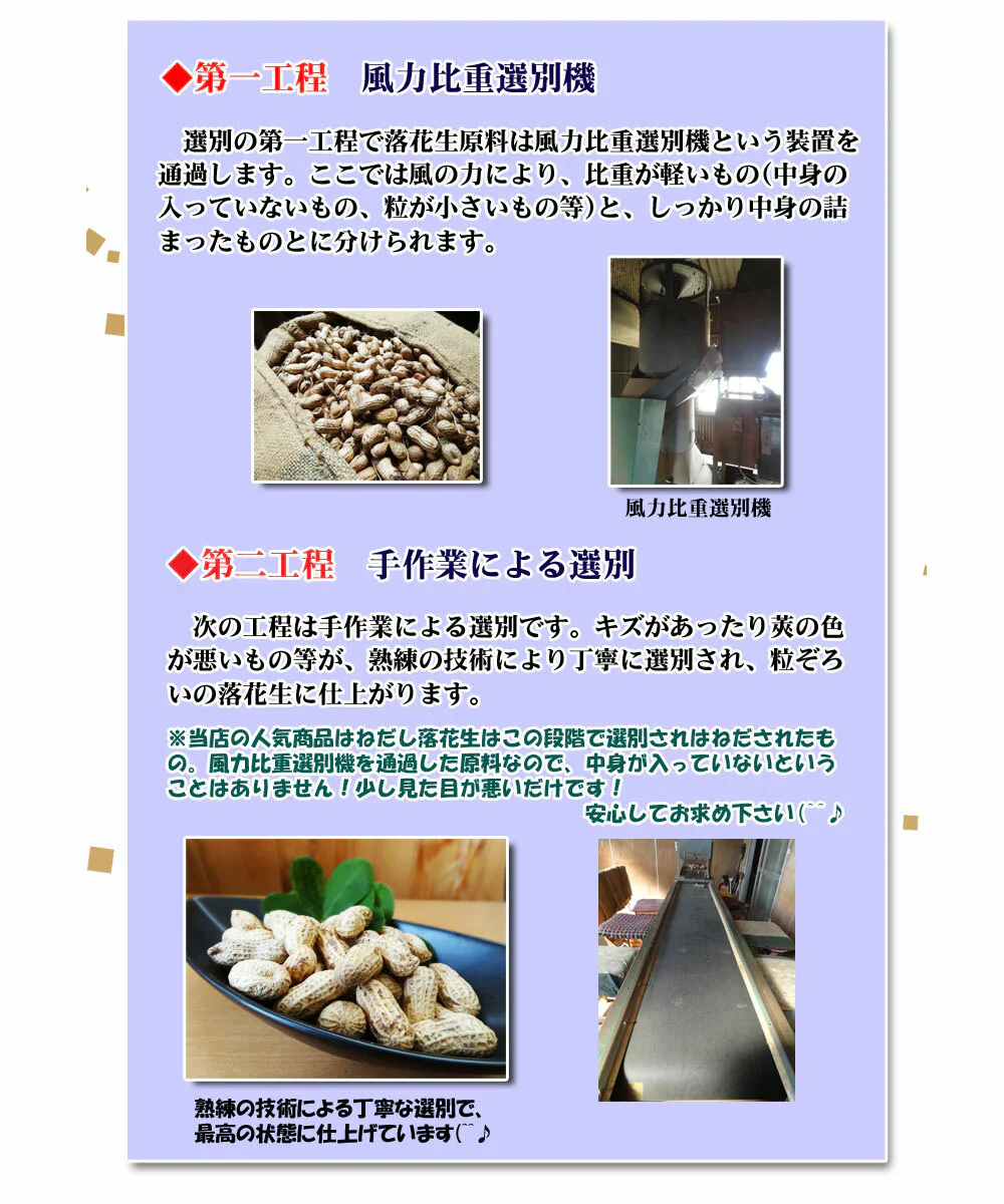 千葉県産Qなっつ大粒バタピー 240g 安心安全千葉県産