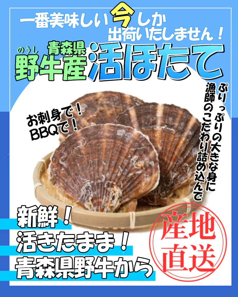 8月中旬まで限定販売　青森県野牛産　活ほたて　大サイズ　5キロ　むきへら付き