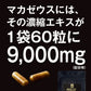 マカサプリメント マカゼウス 60粒 約一か月分 メール便送料無料 シトルリン 亜鉛 男性 女性 妊活 元気 健康 美容 エネルギー マカックス9000mg配合 MACAXS ミネラル MACAZEUS