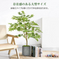 フェイクグリーン 「モミジグリーン」 観葉植物 大型 人工観葉植物 リアル フェイク グリーン インテリア 飾り用 撮影用 部屋飾り 造花 お祝い プレゼント おしゃれ