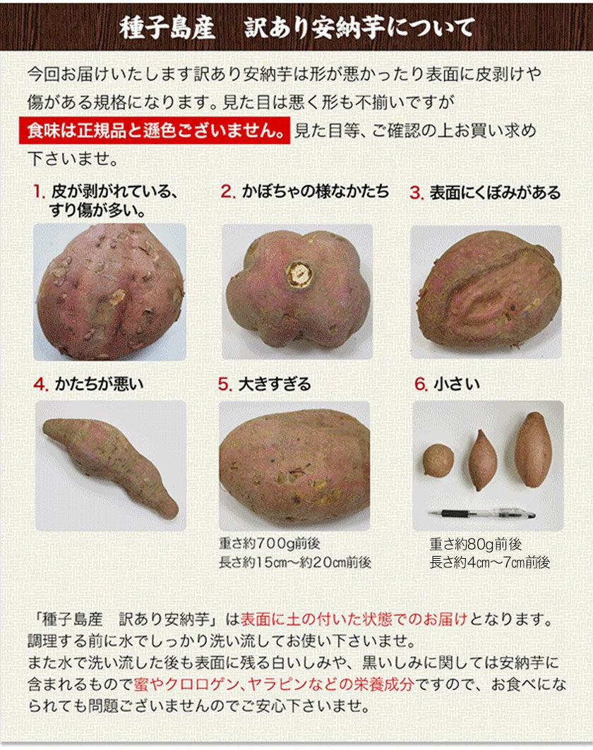 【熊本コレクション】種子島産 訳あり 安納芋 4kg 送料無料 さつまいも  サイズ大中小不揃 希少 《3-7営業日以内に発送予定(土日祝日除く)》