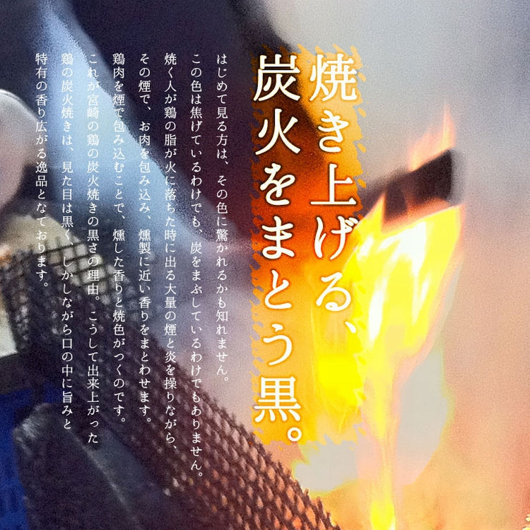 100g×2袋 宮崎 名物 焼き鳥 鶏の炭火焼き