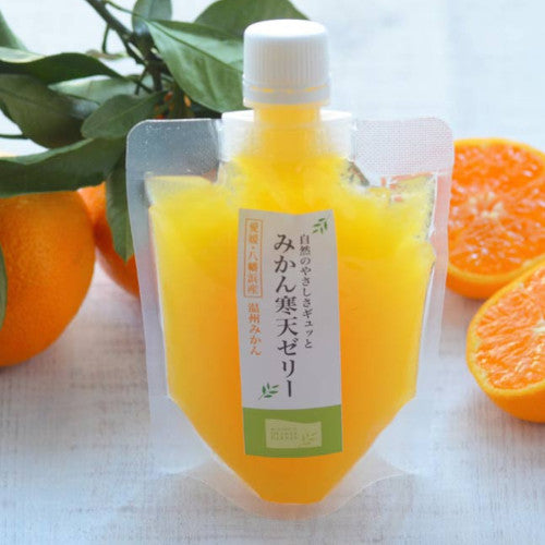 《無添加》愛媛県みかんゼリー【河内晩柑】150g×6個