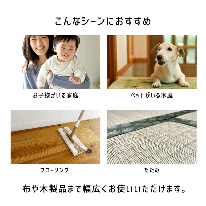 【３個セット】乳酸 カビナイトST 450ml 日本製 ミントの香り カビ取りスプレー カビ取り剤 お風呂 カビ取り カビ除去スプレー 床 フローリング 畳 木材 肌に優しい