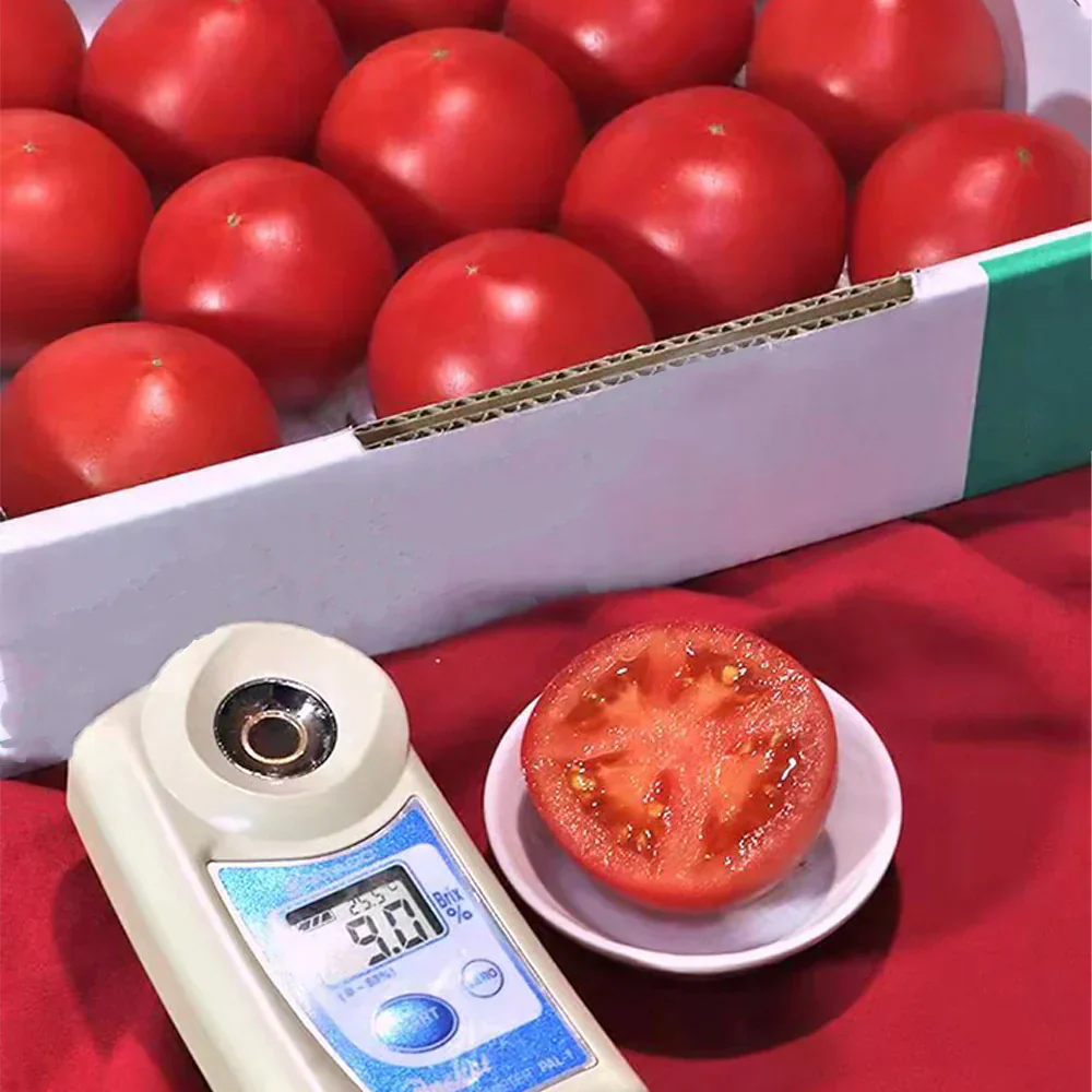 トマト 高糖度フルーツトマト 国産 ご家庭用 茨城県産 約900g（9〜16玉入） 糖度9度以上 中玉トマト 高級 ギフト プレゼント 産地直送 甘い 国産 ジュース ゼリー