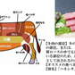 各200ｇ 3種 仙台牛 焼き肉 贅沢食べ比べセット BBQ a5 和牛