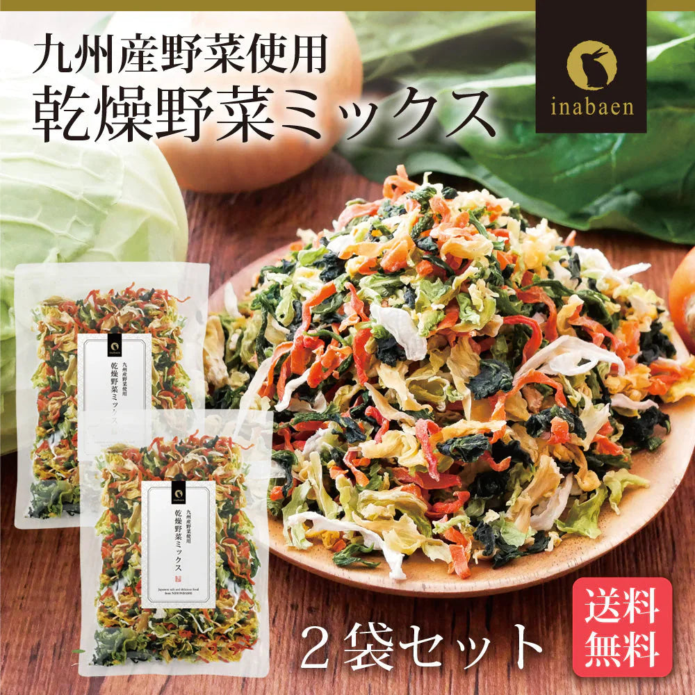 【2個セット】日本橋いなば園 九州産野菜使用 乾燥野菜ミックス 100g ネコポス メール便送料無料