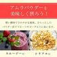【ご注文殺到につき入荷待ち】 アムラパウダー 無添加 食用 オーガニック 100g 有機 JAS認証 粉末 アムラ 100% パウダー グーズベリー スリランカ ヘアケア 美髪 薄毛 美肌 栄養 健康 サプリメント