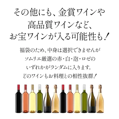 ［数量限定］アルマンドが当たるかも！？アウトレットワイン12本 福袋 【送料無料】