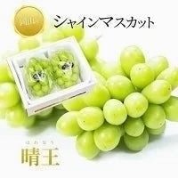 【9月上旬順次発送】送料無料 岡山産 シャインマスカット 晴王 優品2房 800-900g