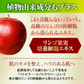 『リヴァリー アドバンスドフェイスマスク（1袋）』  ヒト幹細胞 ヒト脂肪細胞順化培養液 美容マスク 美肌 CICA NMN EGF フェイスマスク シートマスク