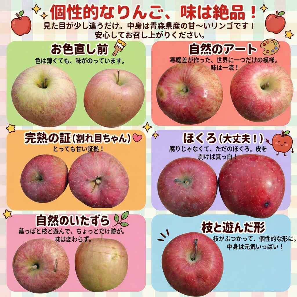 クール便　青森県産　訳あり　りんご　スマートフレッシュ！　有袋ふじ　22-46玉　10kg　　送料無料！