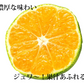 みかん 訳あり 送料無料 2kg 熊本みかん 熊本県産 極早生みかん 蜜柑 ミカン【ご新規さん限定商品】