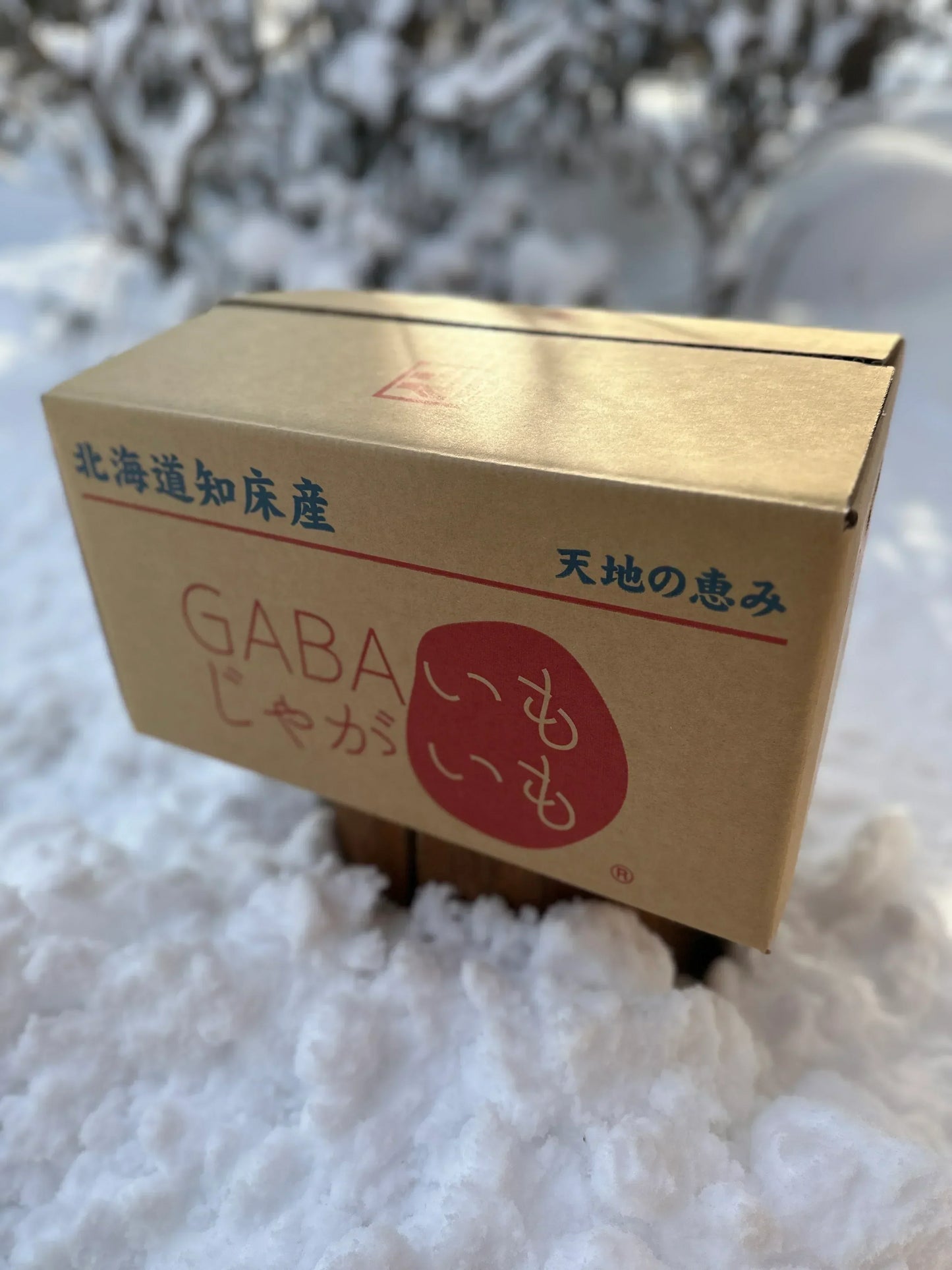 クール便【北海道 産直】訳あり 熟成じゃがいも 5kg はるか