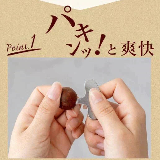 殻付きマカダミアナッツ 300g 送料無料【ご新規さん限定商品】