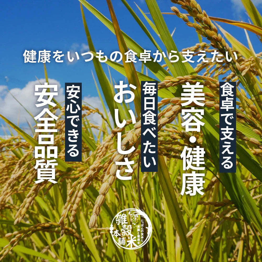 雑穀 雑穀米 国産 麦５種ブレンド 24kg(400g×60袋) [丸麦/押麦/はだか麦/もち麦/はと麦] 無添加 無着色 業務用サイズ 送料無料