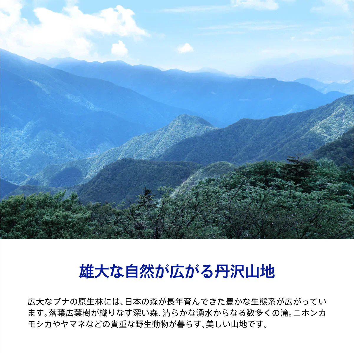 水想い ナチュラルミネラルウォーター ラベルレス 2L × 9本 軟水