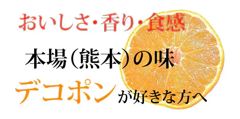 デコポン 同品種 訳あり デコみかん 10kg 箱込 (内容量9kg+補償分500g) 送料無料 熊本県産 フルーツ お取り寄せ みかん ミカン 蜜柑 不知火