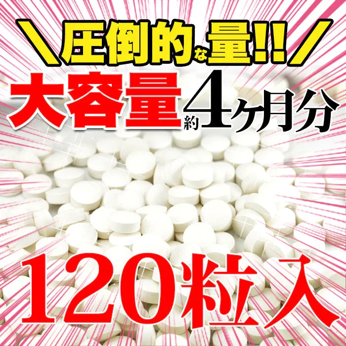メガ盛り★プロテオグリカン約4ヵ月分ゆうパケット