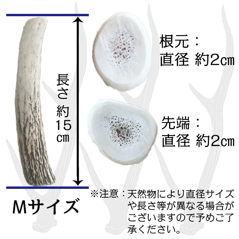 Deerhorn【Mサイズ】 北海道産 鹿角 ペット 犬 おもちゃ 大型犬 プレゼント いたずら防止 おやつ デンタルケア ガム 犬用 鹿の角 天然 無添加 ブルドッグ ボーダーコリー ビーグル フレンチブルドッグ いぬ イヌ