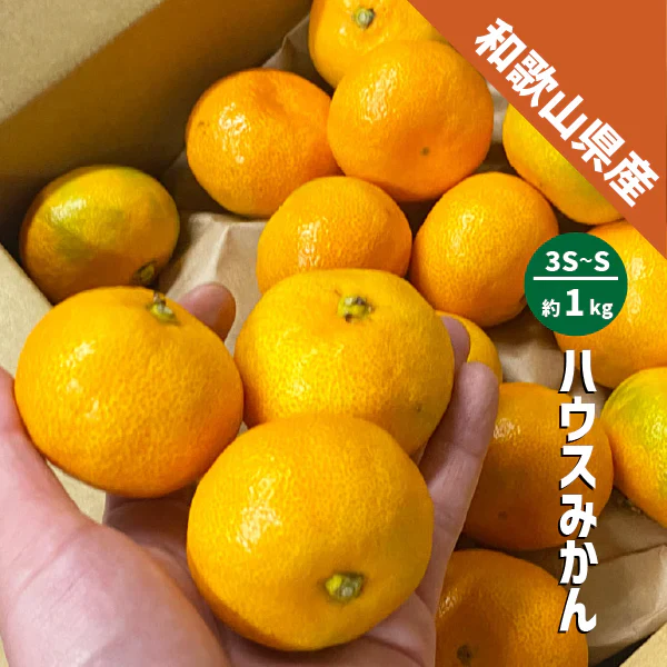 和歌山県産 ハウスみかん 約1kg  3S〜Sサイズ 有田産 ハウス みかん お中元 ギフト 贈答用