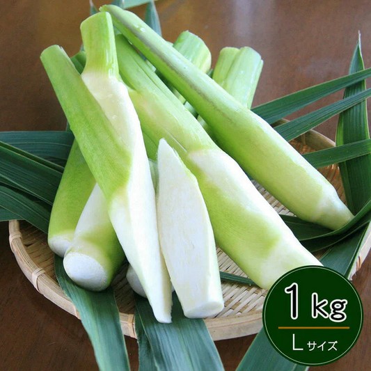 岡山県里庄産 無農薬栽培 マコモタケ（まこもたけ）生 1kg Lサイズ 〈期間限定：9月～11月中旬〉【送料込み】