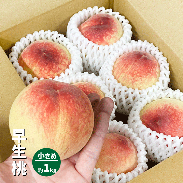 和歌山県産 早生桃 約1kg ５〜６玉 小玉 早生品種 はなよめ 白鳳系 和歌山 日川 小さめ