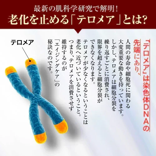 『テロメア エフィカシー リリーフ ファイニストセラム（単品）』美容液 テロメア ハリ ツヤ しわ しみ 原液 テレッセンス 保湿 しっとり