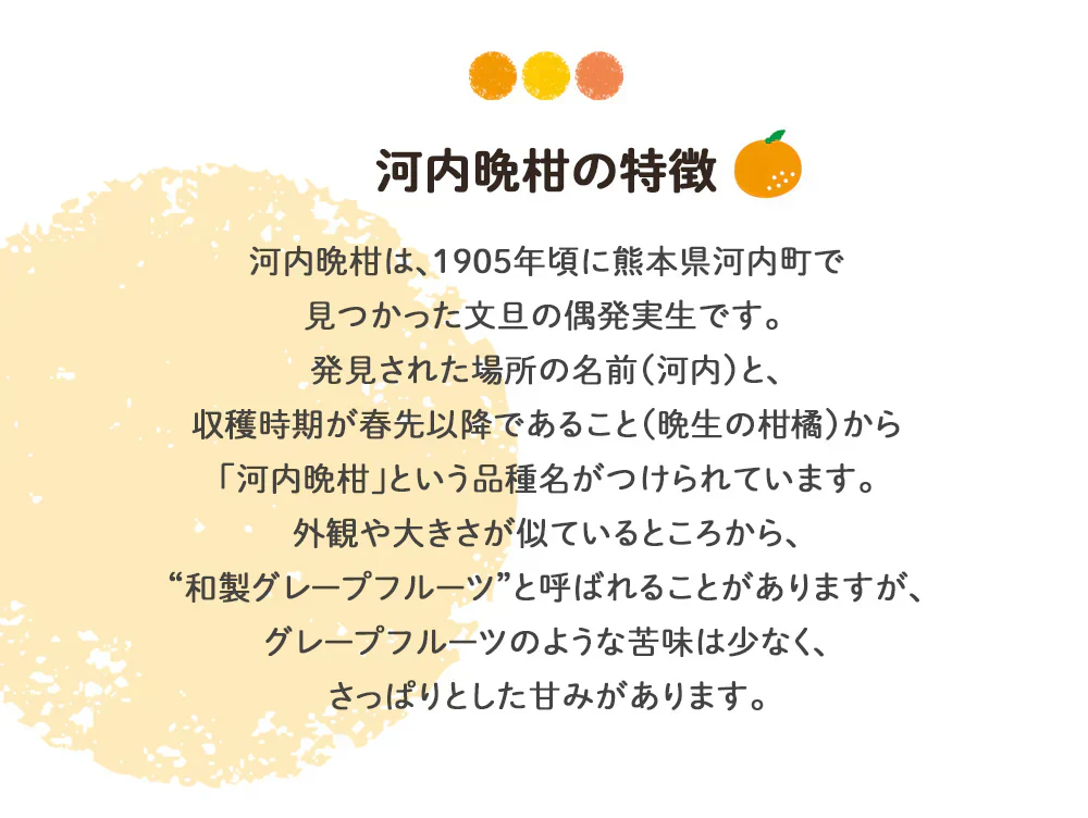 河内晩柑 Ｂ級品 (4kg) ※中玉・大玉MIX 訳あり  晩柑 ご家庭用 箱買い B品 サイズミックス 柑橘 みかん フルーツ 果物 産地直送 愛媛県産