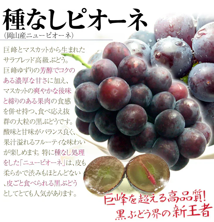 シャインマスカット&ピオーネセット 約1.5kg（大房 各1房）（発送予定:9月下旬より）