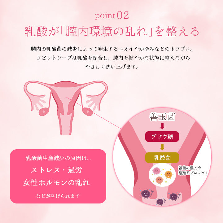ラビットソープ rabbit soap 120ml デリケートゾーン アンダーヘア 日本製 フレグランス 泡タイプ デリケートソープ 2in1 ニオイ かゆみ 黒ずみ 低刺激