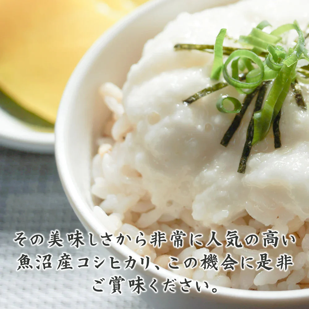 【白米】魚沼産 コシヒカリ 5kg 精白米 国産 国産コシヒカリ100％ 送料無料 精米工場からの直送品