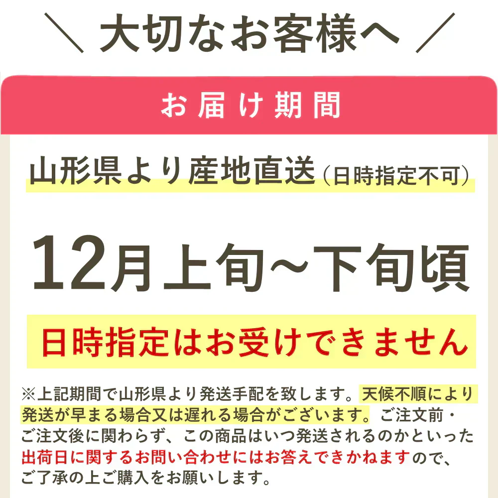 【12月上旬-下旬頃ご注文受付順次】サンふじ　りんご　約10kg箱　24-40玉前後　樹上完熟りんごを産地直送