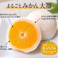 9個入り まるごと みかん 大福 和菓子 高級 ギフト お取り寄せ まるごと ミカン 大福 9個 送料無料 プレゼント 熊本県産 小玉 みかん使用 スイーツ お菓子 白あん 手土産 冷凍　《3-7営業日以内に出荷予定（土日祝除く）》