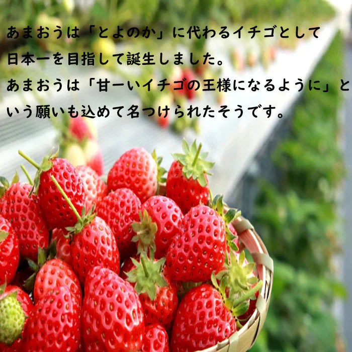 2パック 福岡産 いちご あまおう デラックス