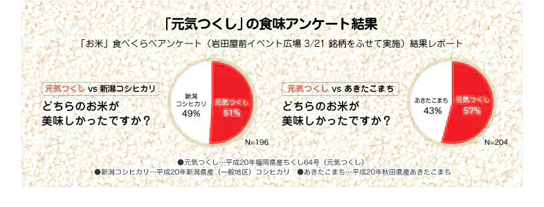 米 2kg 福岡県産「元気つくし」福岡の自信作 金のめし丸 令和7年産 研ぐお米 九州産 数量限定 送料無料