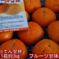 【10月中旬より順次発送予定】ばってん甘柿 訳あり 3kg×3箱(1箱 約3kg) 樹上脱渋柿 種なし柿 送料無料