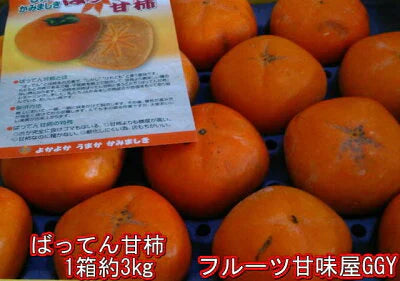 【10月中旬より順次発送予定】ばってん甘柿 訳あり 3kg×3箱(1箱 約3kg) 樹上脱渋柿 種なし柿 送料無料