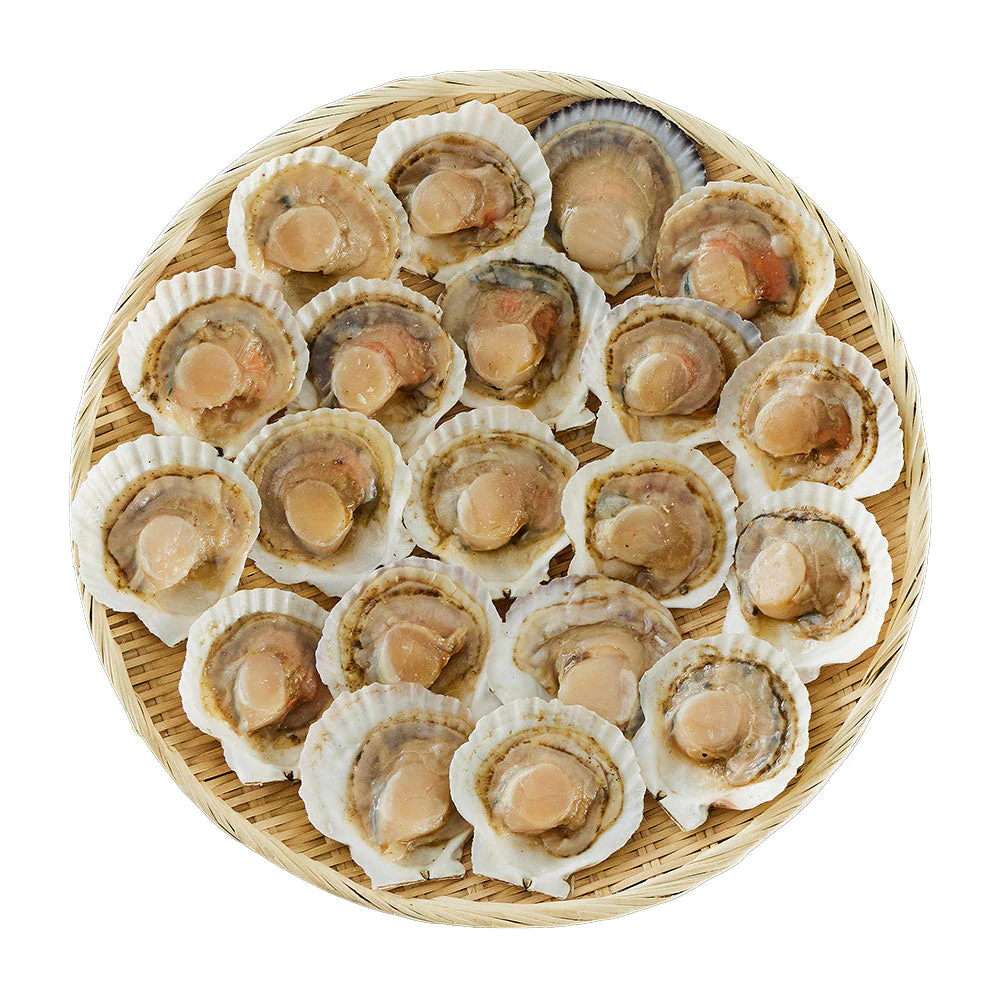北海道産 帆立片貝 20枚(75g×20) 貝類 ホタテ【送料込み】【二重包装不可】【お届け不可地域：離島】