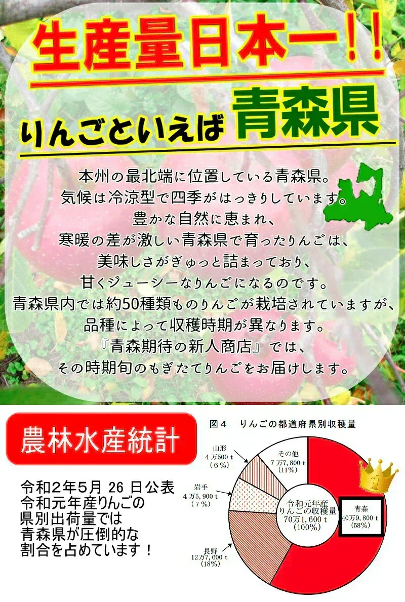 10月9日～発送！青森県産 りんご トキ 5kg箱 家庭用/訳あり ★トキ 家訳 5kg箱