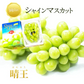 【9月上旬順次発送】送料無料 岡山産 シャインマスカット 晴王 訳あり 1房600グラム ぶどう ギフト お供え プレゼント 贈り物 お土産 シャインマスカット晴王