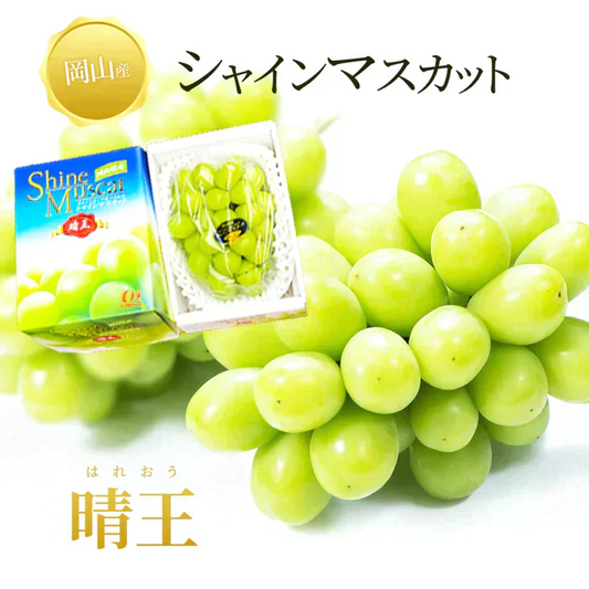 【9月上旬順次発送】送料無料 岡山産 シャインマスカット 晴王 訳あり 1房600グラム ぶどう ギフト お供え プレゼント 贈り物 お土産 シャインマスカット晴王