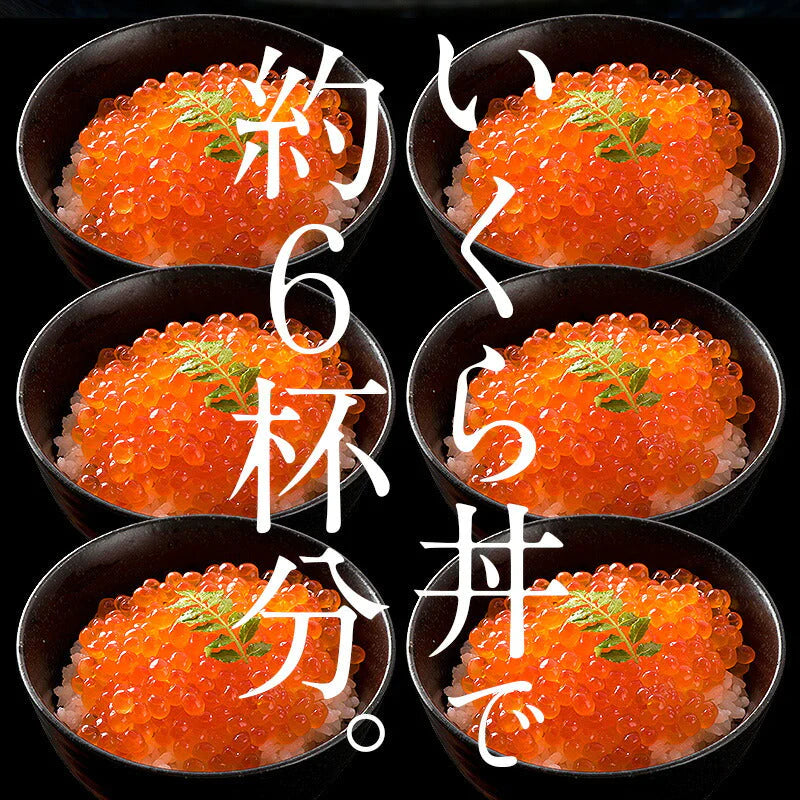 いくら 鮭 イクラ 醤油漬け 500g 北海道産 いくら醤油漬け 北海道 海鮮 グルメ いくらの醤油漬け たっぷり 北海道グルメ 海鮮 食べ物 食品 お取り寄せ 贈り物 ［送料無料］ 母の日 プレゼント ギフト  母の日思いの 健康 実用的 父の日 子供 孫
