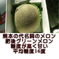 【6月上旬～7月上旬発送予定】肥後グリーンメロン　大玉　2玉入り(1玉1.6kg以上）　熊本産