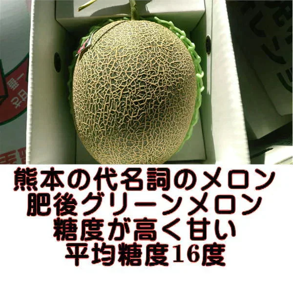 【6月上旬～7月上旬発送予定】肥後グリーンメロン　大玉　2玉入り(1玉1.6kg以上）　熊本産
