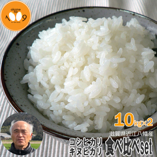 新米 食べ比べ 玄米20kg(10kg×2) 滋賀県近江八幡産 コシヒカリ キヌヒカリ 令和6年産 内野営農組合 環境こだわり農産物