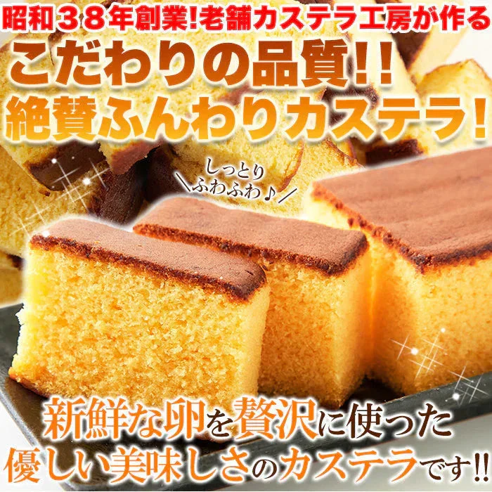 本場長崎のプレーンカステラ 大容量 900g (300g×3本セット)