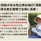 【2個セット】日本橋いなば園 静岡深蒸し茶 荒茶づくり 100g ネコポス メール便送料無料